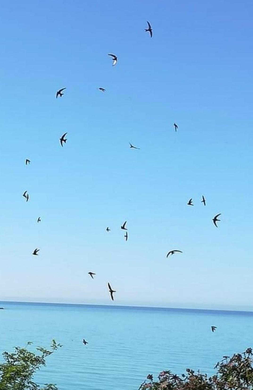 Mediterraneo Travel 겔라 외부 사진